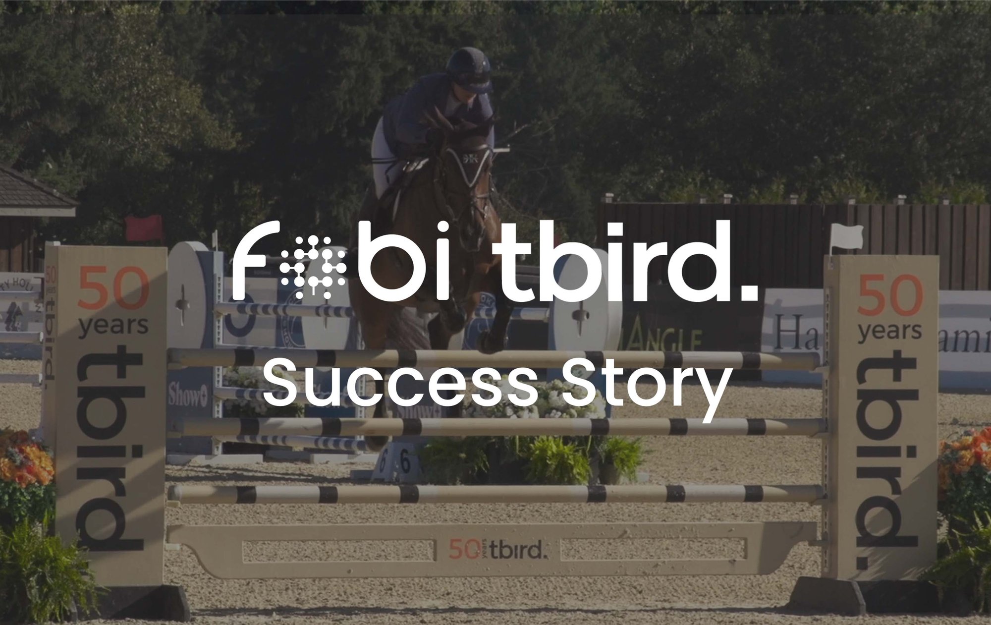 tbird Success Story